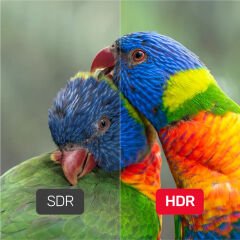 UNITEK DISPLAY PORT 1.4 KABLO 2MT 8K (C1624BK-2M)